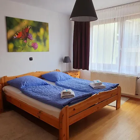Inn Gruener Baum Neckargerach
