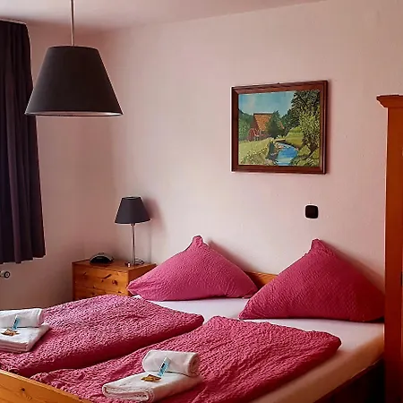 Locanda Gruener Baum Neckargerach