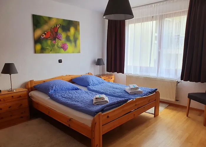 Mini-hôtel Gruener Baum Neckargerach