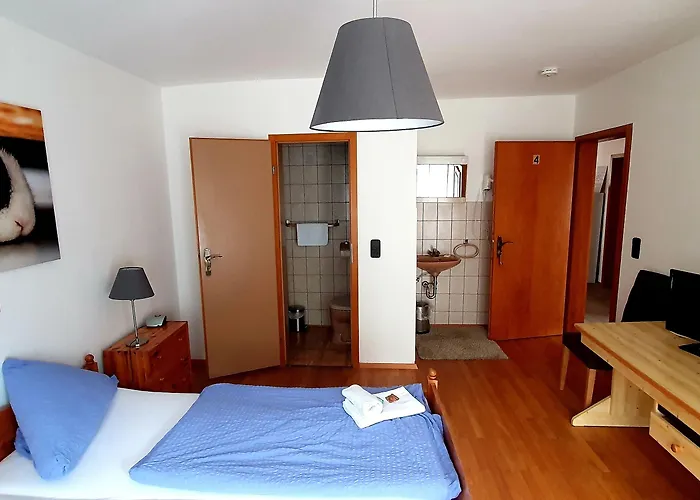 Gruener Baum Mini-hôtel Neckargerach