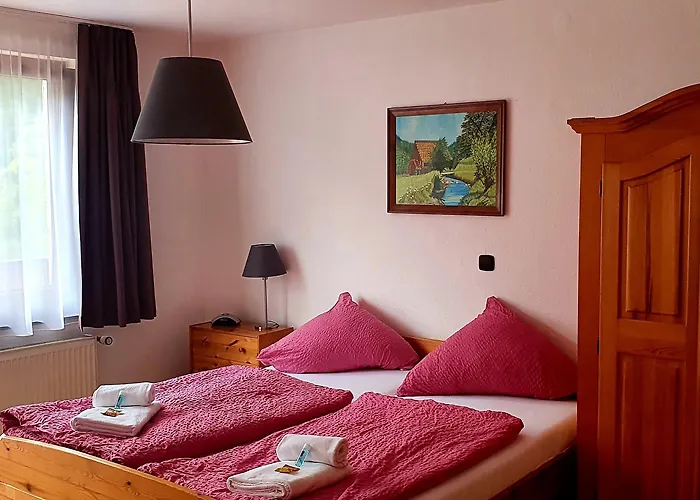 Mini-hôtel Gruener Baum Neckargerach