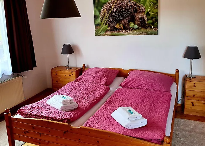 Gruener Baum Mini-hôtel 2*