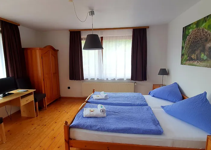 Mini-hôtel Gruener Baum Neckargerach